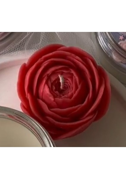 Tomurcuk Gül Çiçek 7,5cm Silikon Kalıp K-068 fiyatları