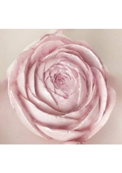 Tomurcuk Gül Çiçek 7,5cm Silikon Kalıp K-068