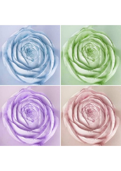 Tomurcuk Gül Çiçek 7,5cm Silikon Kalıp K-068