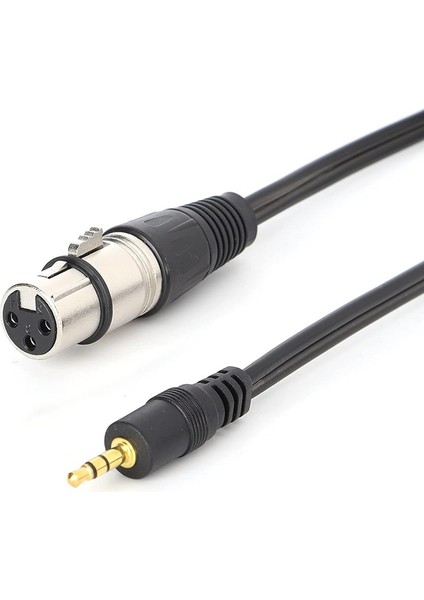 ST-032 3 Pin Dişi Xlr- 3.5mm Mini Stereo Ses Kablosu Çevirici Adaptör 40 cm fiyatları