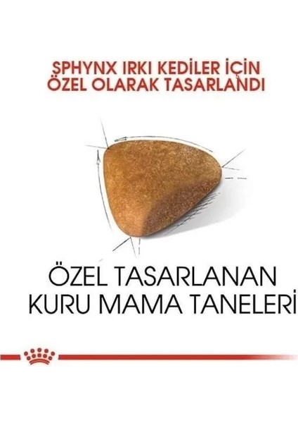 Tüysüz Sphynx Cinsi Yetişkin Kedi Maması 2 kg