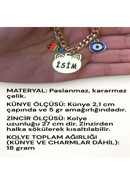 Kedi Tasması İsimli Kedi Tasması Zincirli Tasma Paslanmaz Çelik Kedi Kolyesi