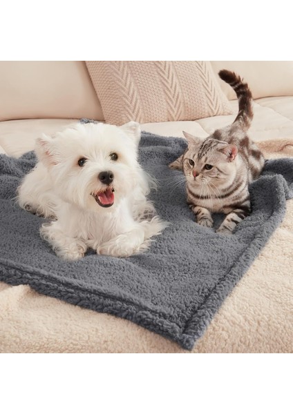 Kedi Köpek Battaniyesi Premium Peluş Evcil Hayvan Uyku Battaniyesi Yıkanabilir Gri fiyatları
