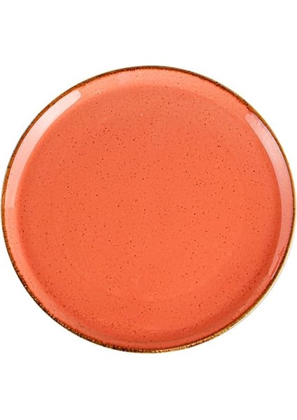 Uludagstore7 04ALM001649 Seasons Pizza Tabağı, Porselen