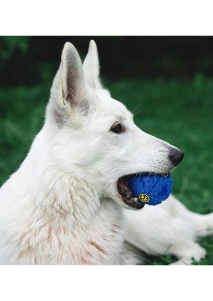 Sesli Kedi Köpek Mama Bulma Oyuncağı fırsatları