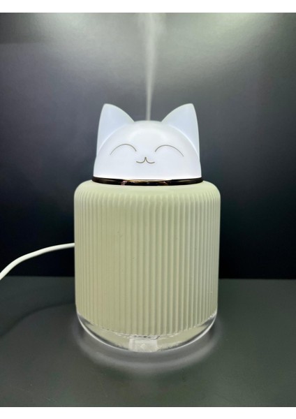 LED Işıklı Ultrasonik Ofis Oda Araç Hava Nemlendirici Buhar Makinesi ve Aroma Difüzör Humidifier fırsatları