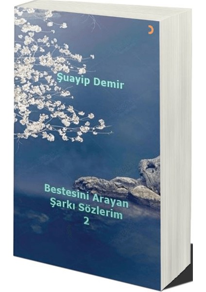 Bestesini Arayan Şarkı Sözlerim 2 - Şuayip Demir