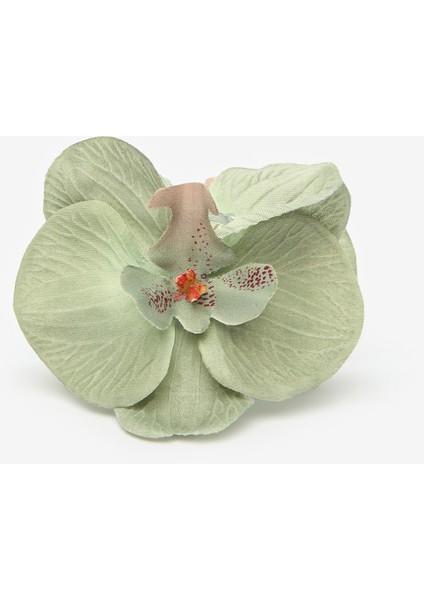 Orchid Renkli Toka