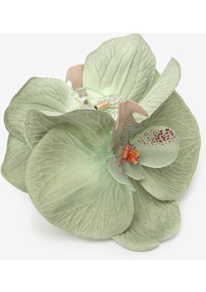 Orchid Renkli Toka