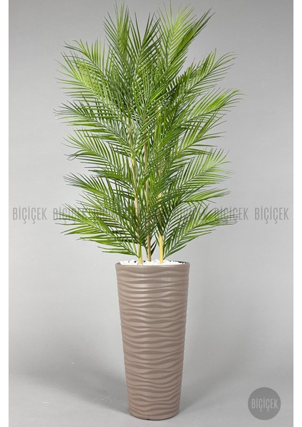 Yapay Areka Ağacı Palmiye Ağacı 33 Yapraklı Bambu Gövdeli Bej Kumsal Saksı Salon Çiçeği 150CM