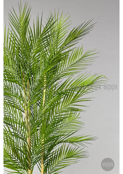 Yapay Areka Ağacı Palmiye Ağacı 33 Yapraklı Bambu Gövdeli Antrasit Kumsal Saksı Salon Çiçeği 150CM