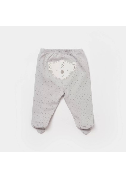 Koala Jungle Patikli Pantolon Gri