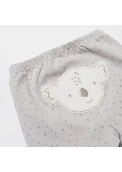 Koala Jungle Patikli Pantolon Gri
