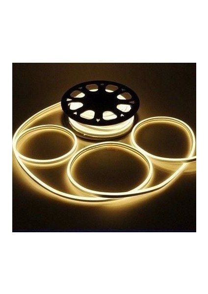 CT-4455 12V Neon LED Günışığı 1mt
