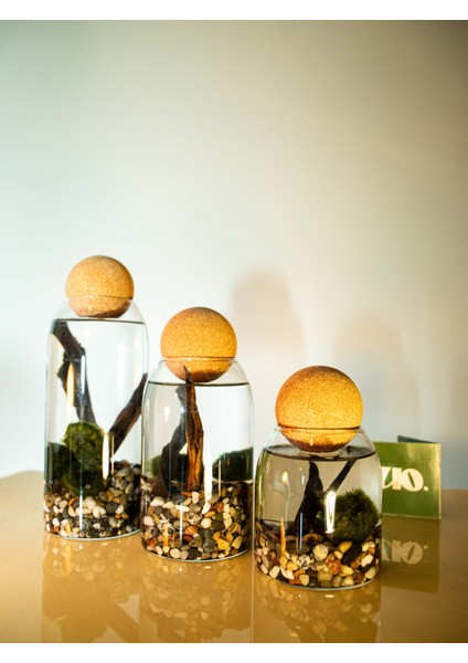 Marimo Moss Balls, Yosun Topu; indirimleri