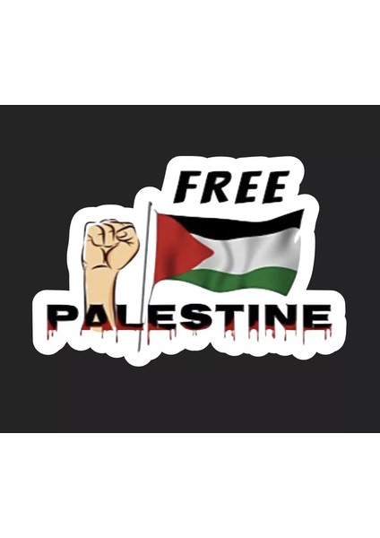 Filistin Gazze Bayrak Sticker Araba Etiket 19 cm