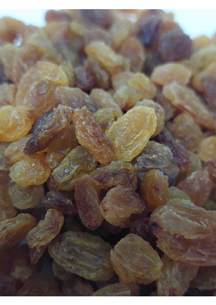 Sultani Çekirdeksiz Üzüm Kurusu 500 gr fiyatları