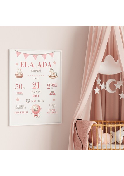 Pembe Bayraklı Doğum Tablosu, Bebek Doğum Hatırası Tablosu, Doğum Panosu fırsatları