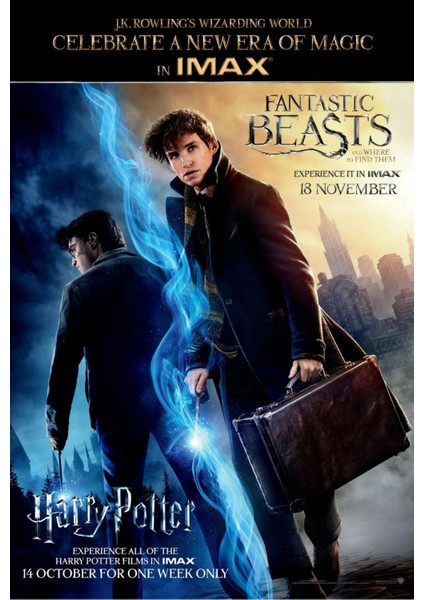 Fantastic Beasts And Where To Find Them (2016) 5 (Folyo / Afiş / Poster) 2773 ( 35 cm x 50 cm )
