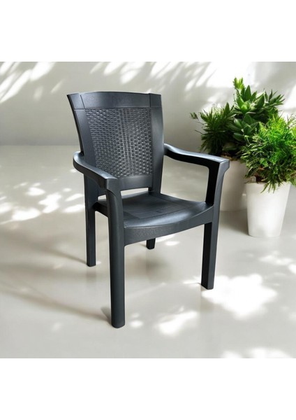 Napoli Kalın Bacaklı Kollu Sandalye Koltuk fiyatları