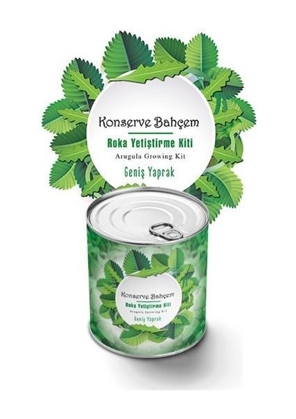Konserve Bahçem Evde Konservede Iri Yapraklı Roka Yetiştirme Kiti