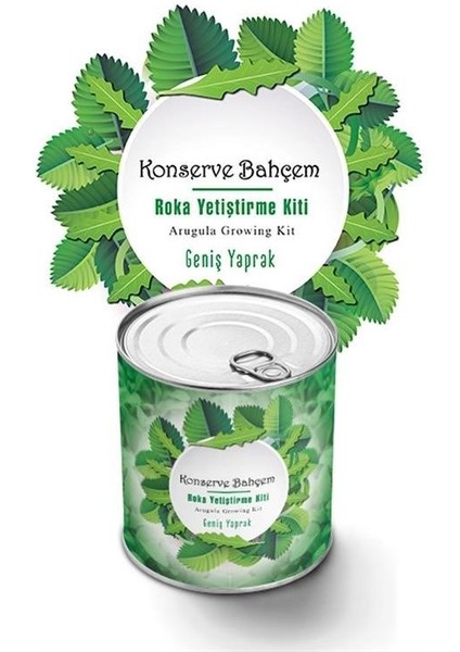Konserve Bahçem Evde Konservede Iri Yapraklı Roka Yetiştirme Kiti