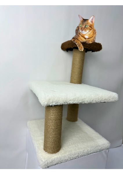 Peluş Dokulu Yavru Kedi Için 46 cm Kedi Tırmalama Tahtası Soft Sevilen Renkler fiyatları