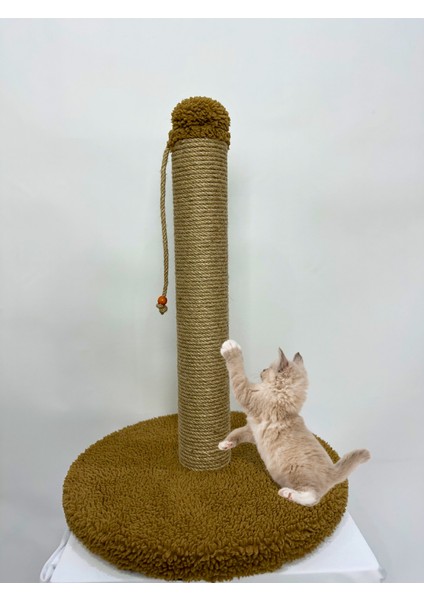 Peluş Dokulu Yuvarlak Tabanlı Kedi Tırmalama Tahtası 42 cm Soft Sevilen Renkler Modern Şık Tasarım fiyatları