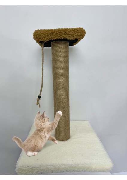 Peluş Dokulu Oturmalı Tek Stepli Kedi Tırmalama Tahtası 44 cm Soft Sevilen Renkler fiyatları