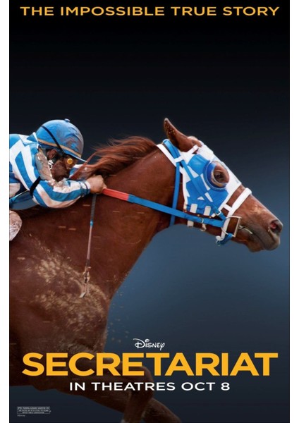 Secretariat (2010) Afiş - Poster (Folyo / Afiş / Poster) 5669 ( 35 cm x 50 cm )