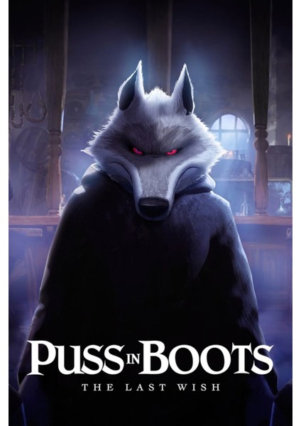 Puss In Boots The Last Wish (2022) 0006 Afiş - Poster (Folyo / Afiş / Poster) 5244 ( 35 cm x 50 cm )