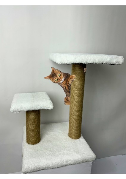2 Kademeli Peluş Kedi Tırmalama Tahtası | 44 cm Yükseklik, Egzersiz ve Oyun Alanı, Yumuşak Dokulu, Soft Renkli Modern Tasarım Beyaz Renk fiyatları