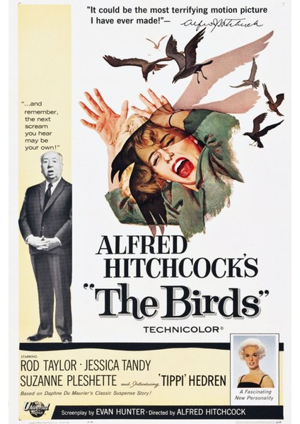 The Birds (1963) 3 Afiş - Poster (Folyo / Afiş / Poster) 6607 ( 35 cm x 50 cm )