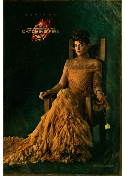 The Hunger Games Catching Fire (2013) 29 Afiş - Poster (Folyo / Afiş / Poster) 7228 ( 35 cm x 50 cm )