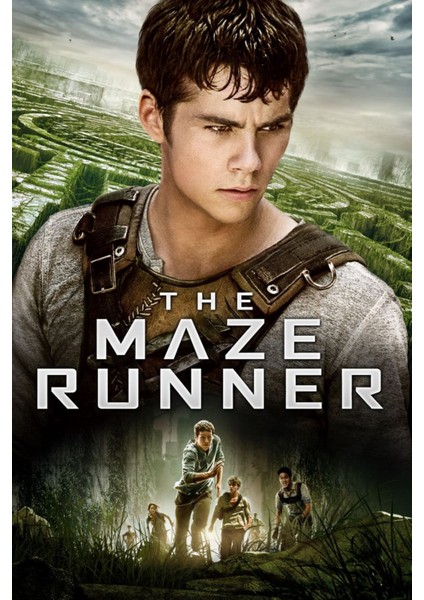 The Maze Runner (2014) 2 Afiş - Poster (Folyo / Afiş / Poster) 7625 ( 35 cm x 50 cm )