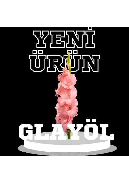 Kokulu Çiçek Glayöl Soğanı fiyatları