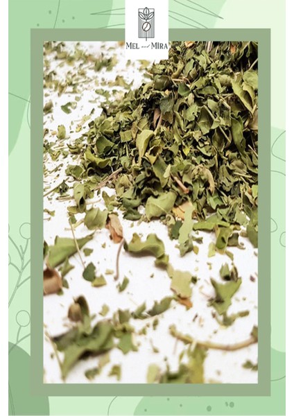 Premium Moringa Çayı 40 gr fiyatları