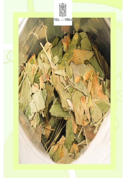 Premium Ginkgo Biloba 35 gr