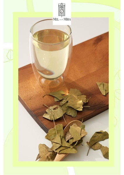 Premium Ginkgo Biloba 35 gr