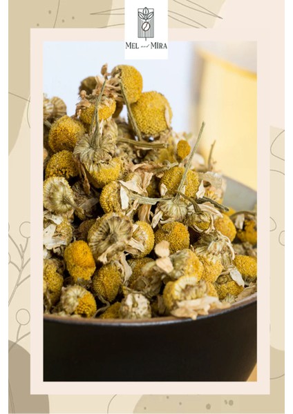 Premium Papatya Çayı 35 gr indirimleri