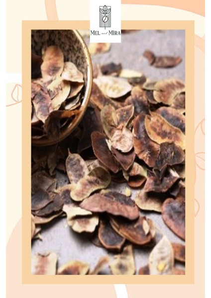 Açlık Otu 100 gr