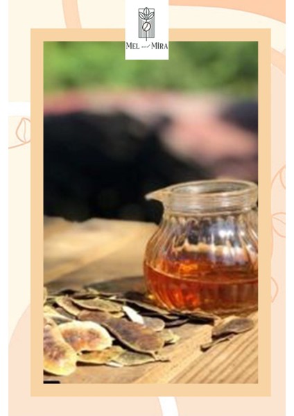 Açlık Otu 100 gr