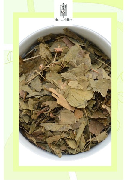Premium Ginkgo Biloba 65 gr