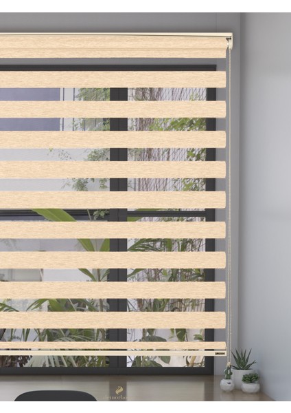 Bal Rengi Bambu Zebra Metal Kasa