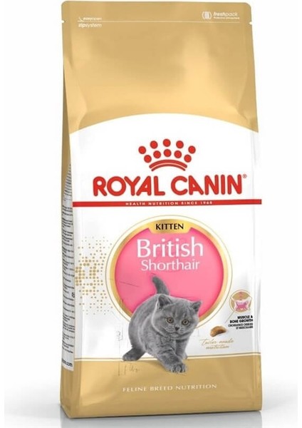 British Shorthair Yavru Kedi Maması 2 kg