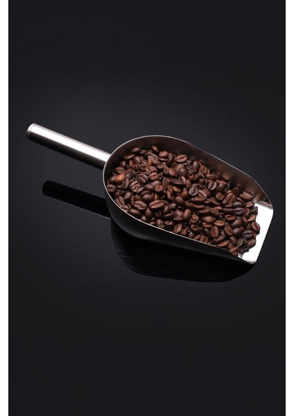 Çelik 15 cm Düz Taban Baharat Kuruyemiş Bakliyat Erzak Küreği CIN982 fiyatları