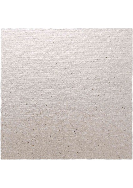 Mikrodalga Için 2 x Yedek 12 x 12 cm Plaka Mika (Yurt Dışından)