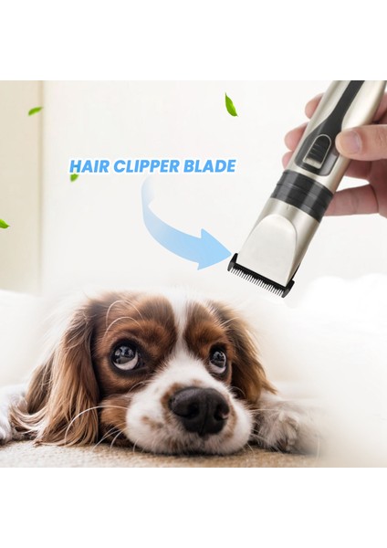 Yüksek Kaliteli Siyah Seramik Titanyum Bıçak Pet Köpek Saç Düzeltici Bıçak Kesme Kafası Baorun P2 P3 P6 P9 S1 Lılı ZP-295 ZP-293 4 (Yurt Dışından)