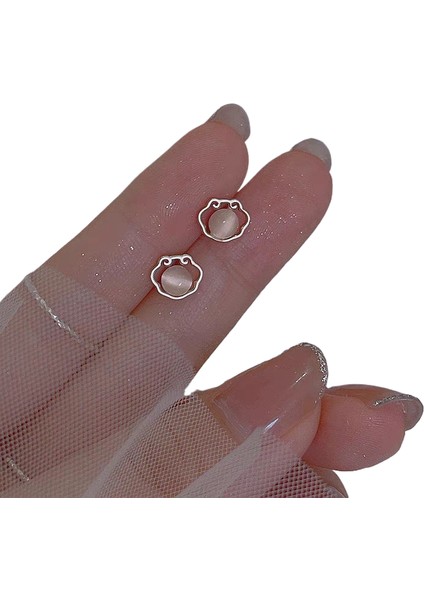 Şık ve Narin Saplama Küpeler (Yurt Dışından)