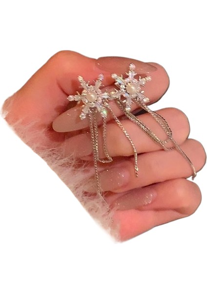 Şık ve Zarif Saplama Küpeler (Yurt Dışından)